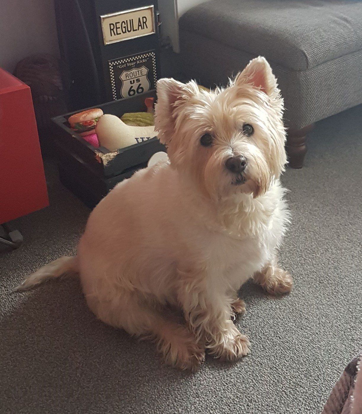 Abbie