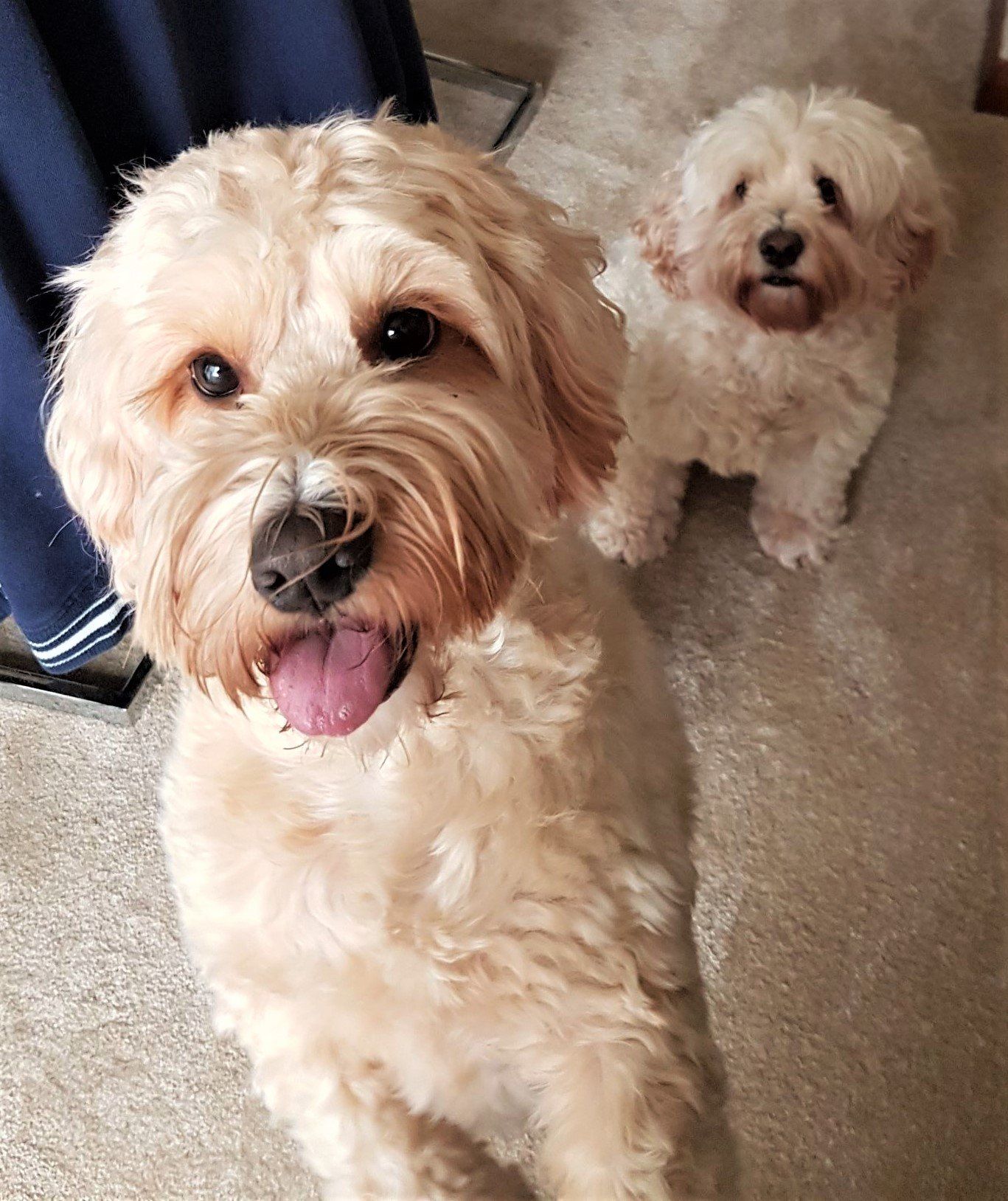 Dora & Phoebie