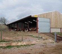 Steel buildings - Monmouth, Monmouthshire - Meyrick & Powell - Cowsheds