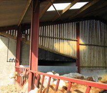 Steel suppliers - Crickhowell, South East Wales - Meyrick & Powell - Cowsheds