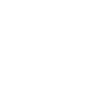 shock icon