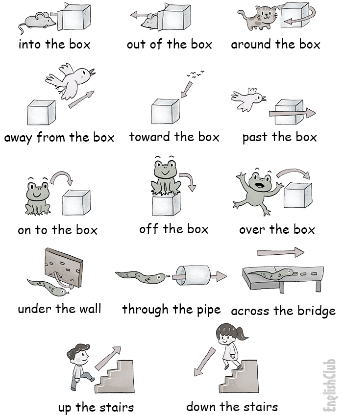Diagramme illustrant les prépositions de lieu et de mouvement avec une boîte, un mur, un tuyau, des escaliers et divers animaux/objets.