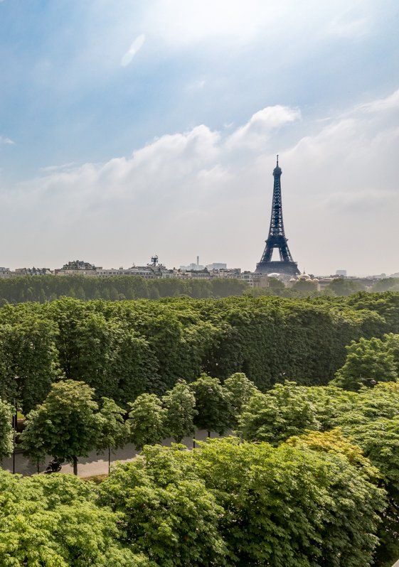 La tour Eiffel est visible à travers les arbres à Paris.