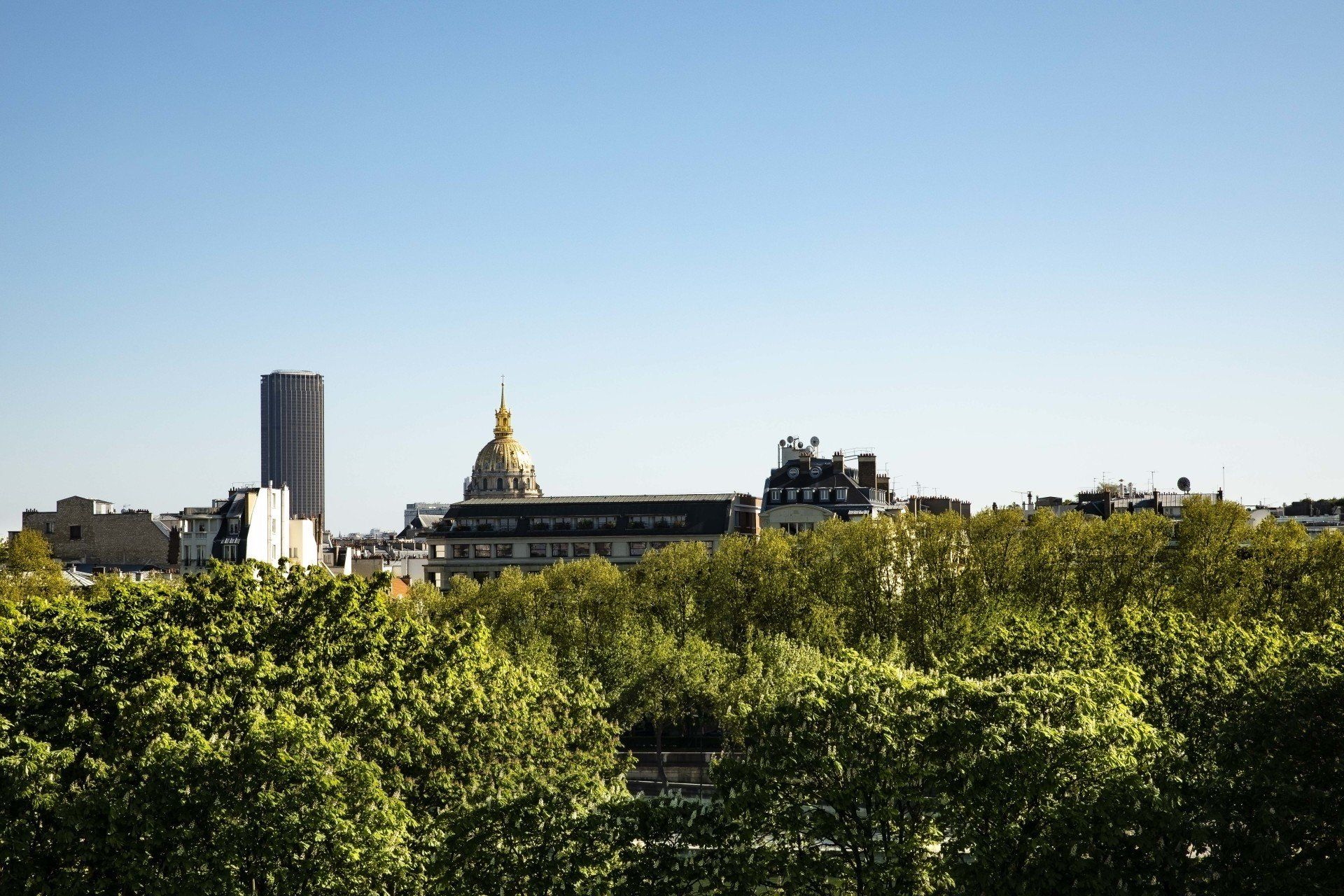 Un horizon urbain avec des arbres au premier plan et un dôme en arrière-plan