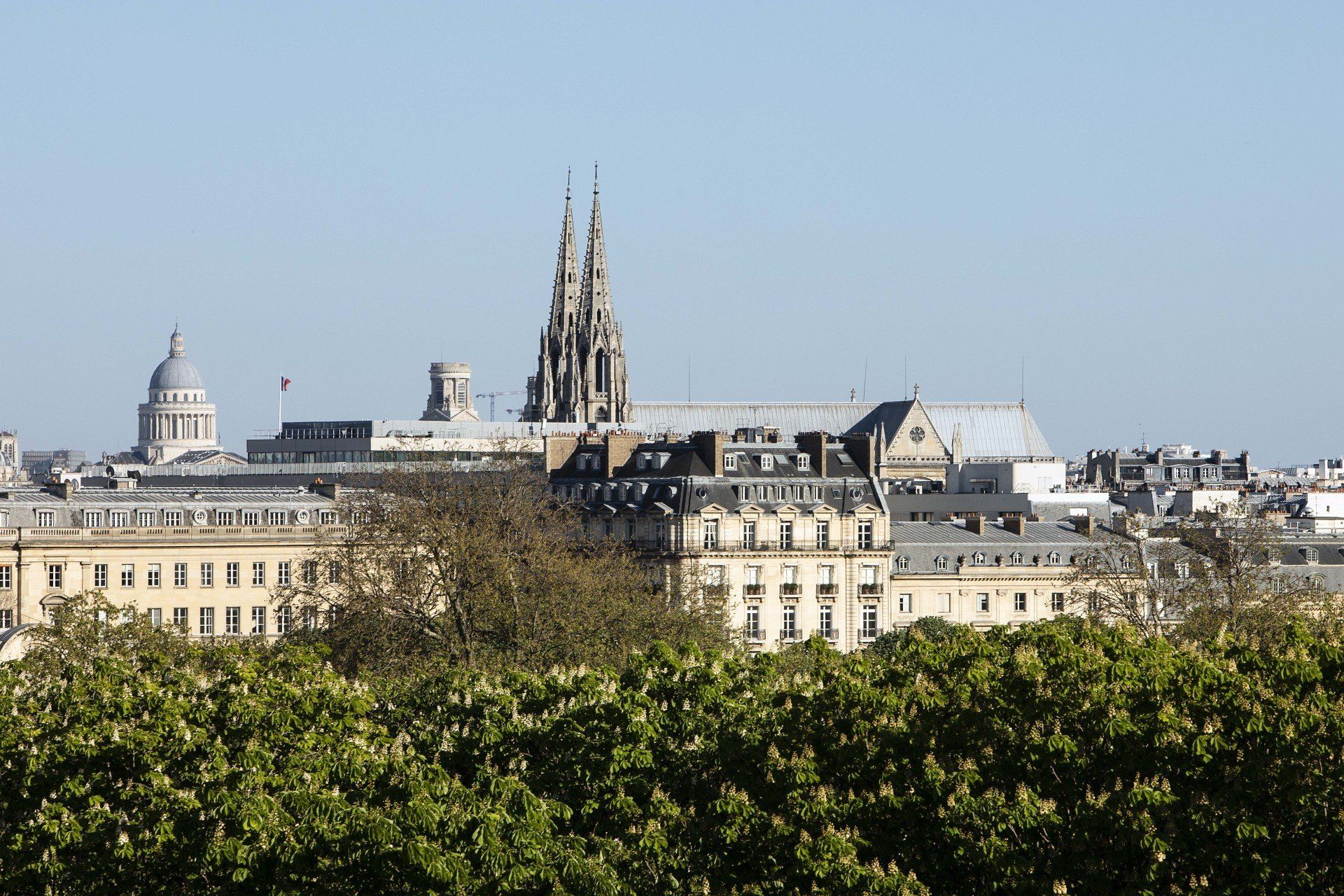 Une vue d'une ville avec des arbres au premier plan