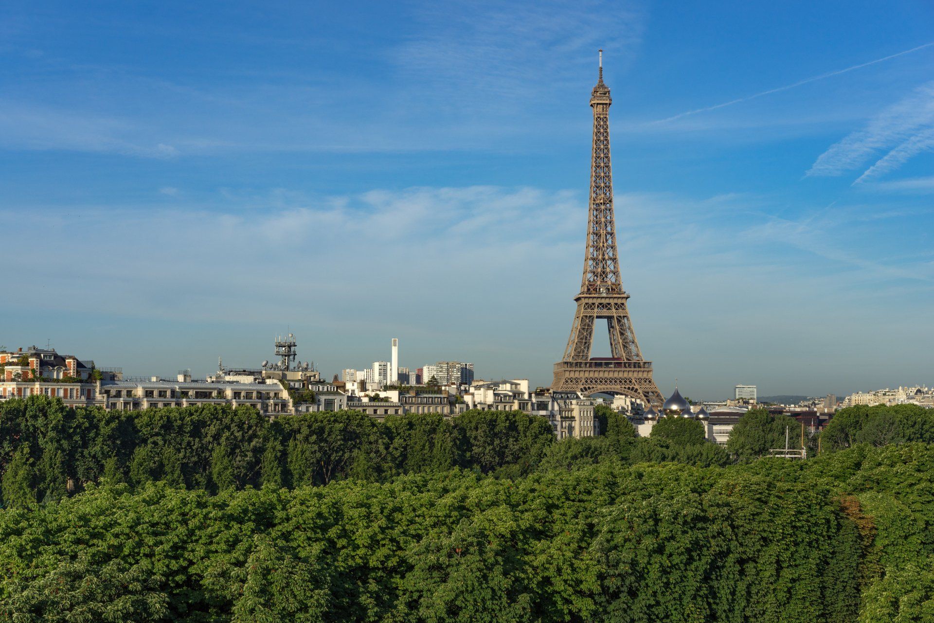 La tour Eiffel est entourée d'arbres et de bâtiments à Paris.