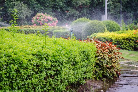 Sprinkler System - Advanced Irrigation Systems Inc in West Warwick, RI