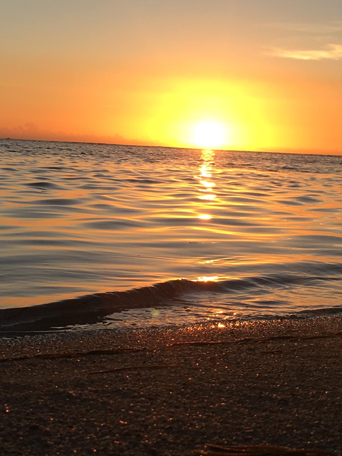 Prophetic Voice Ministries Internationa