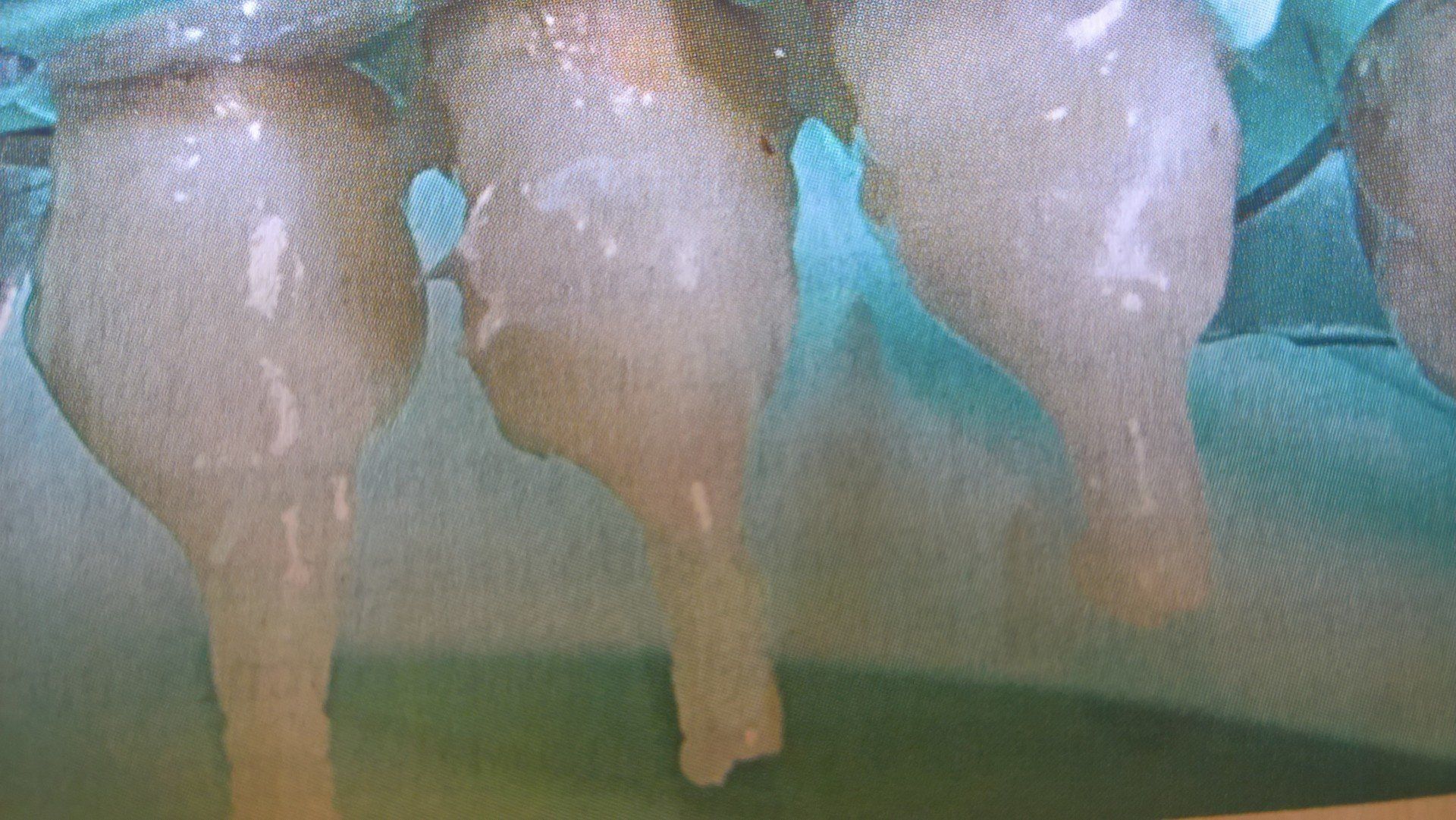 Primo piano di tre lunghi oggetti bianco latte pendenti, probabilmente apparecchiature mediche o di laboratorio.