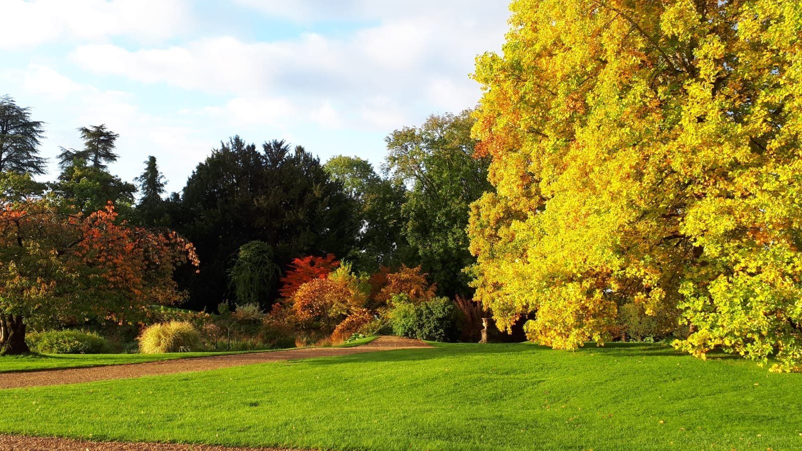 Jardins de Viels-maisons en automne