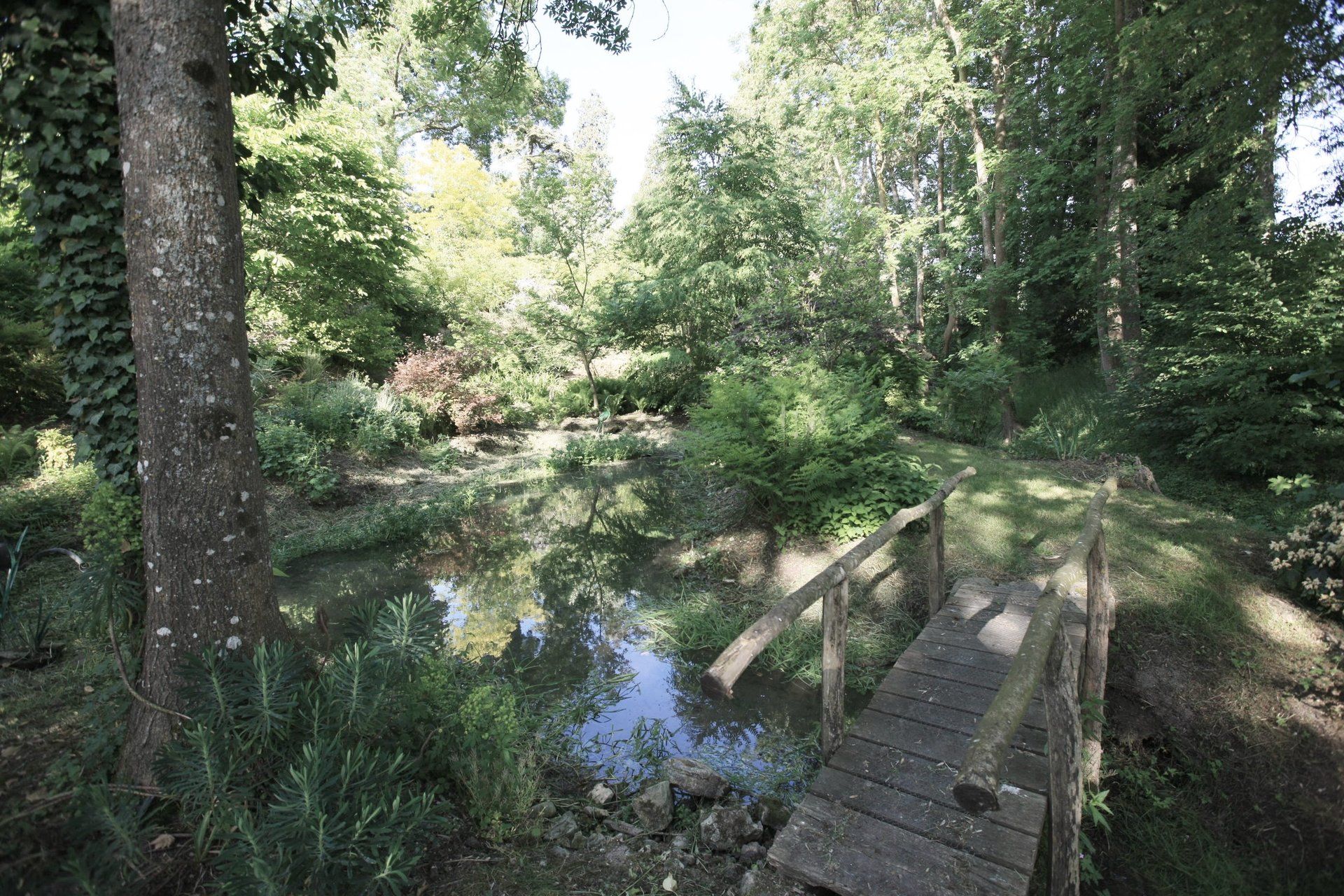 Jardin sauvage - Jardins de Viels-Maisons
