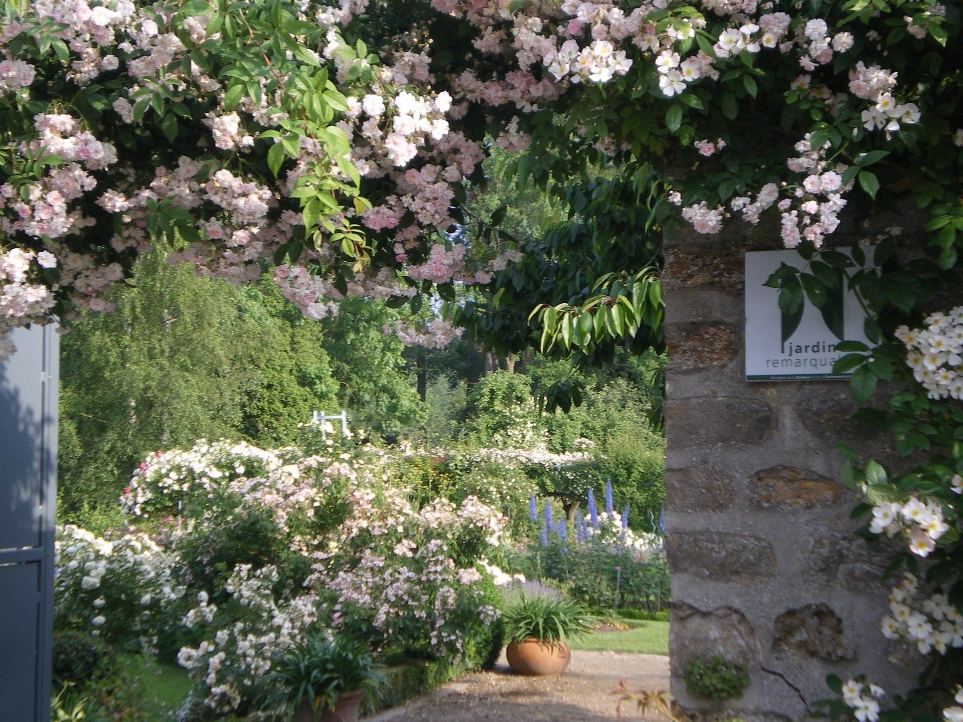 Entrée de jardin fleurie avec mur de pierre, fleurs roses et un chemin luxuriant au-delà