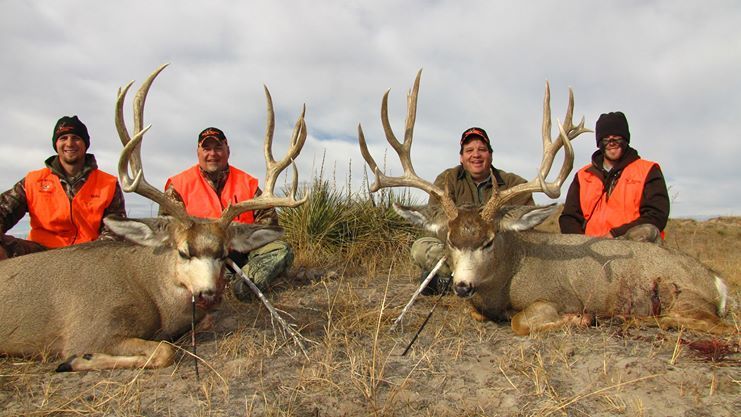 Four men in orange vests with two large dead deer, field setting.