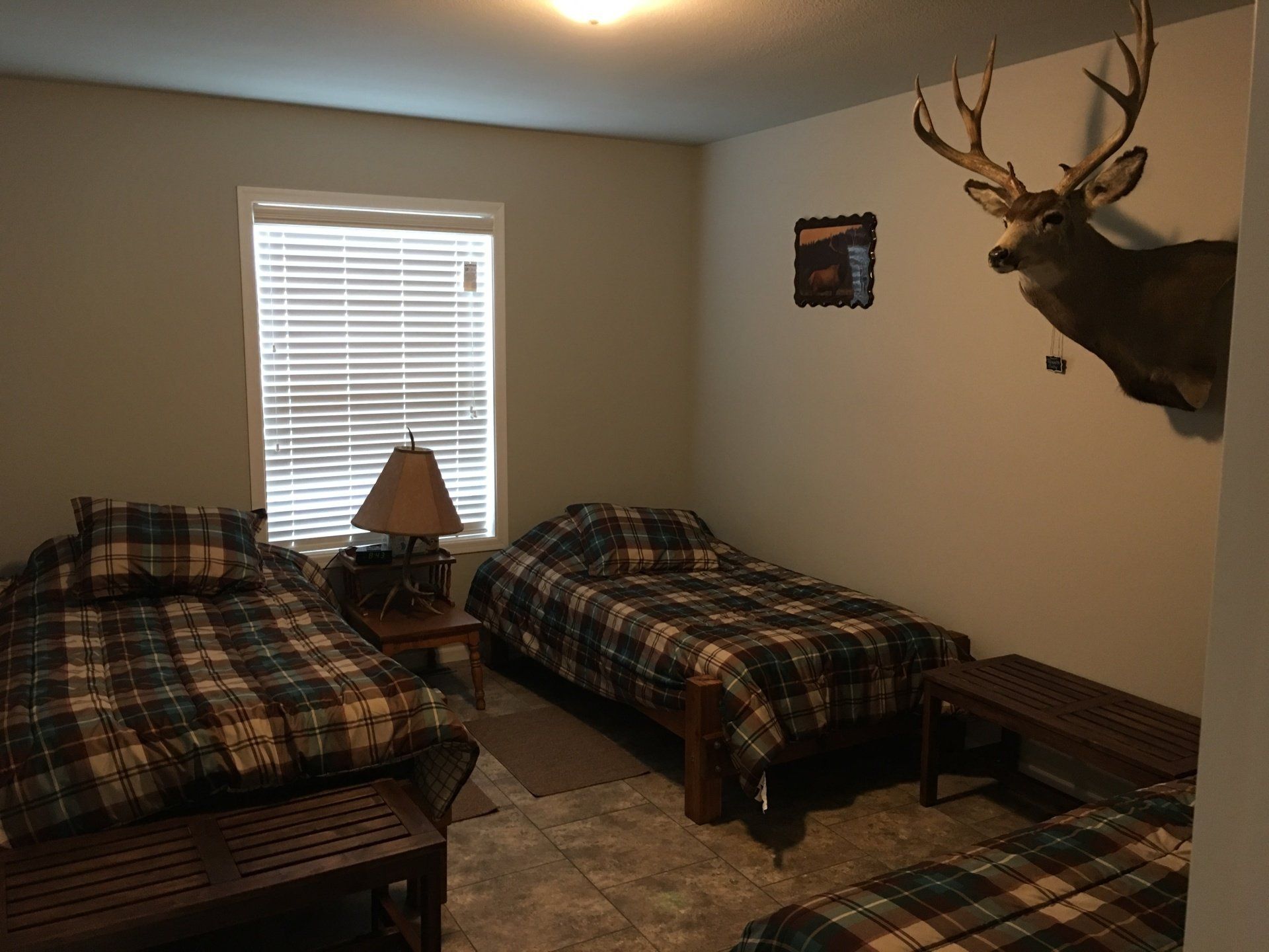 Bedroom with three twin beds covered in plaid bedding and a deer head mount on the wall.