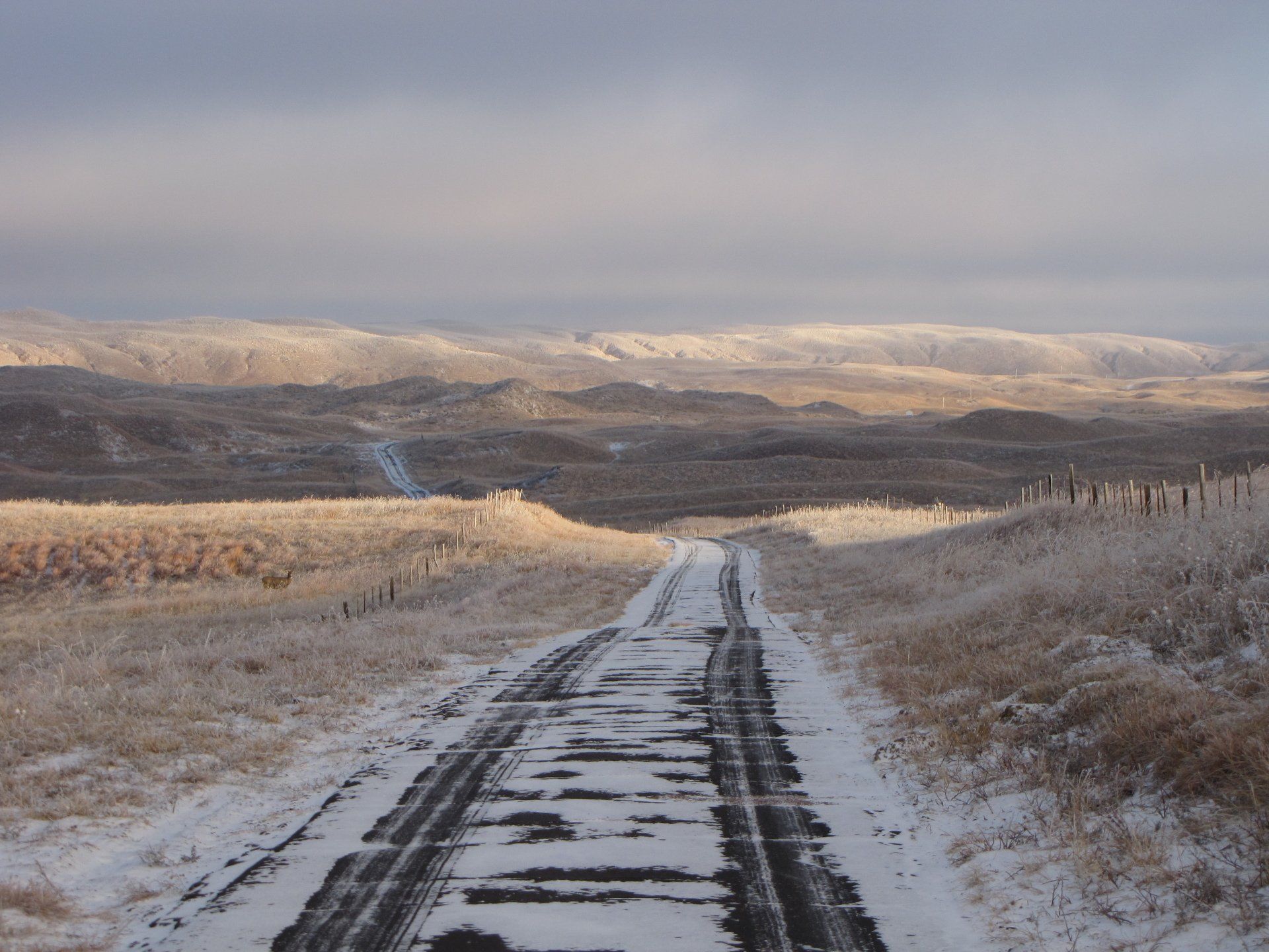 Snow-covered road stretches through a frosted landscape; overcast sky.