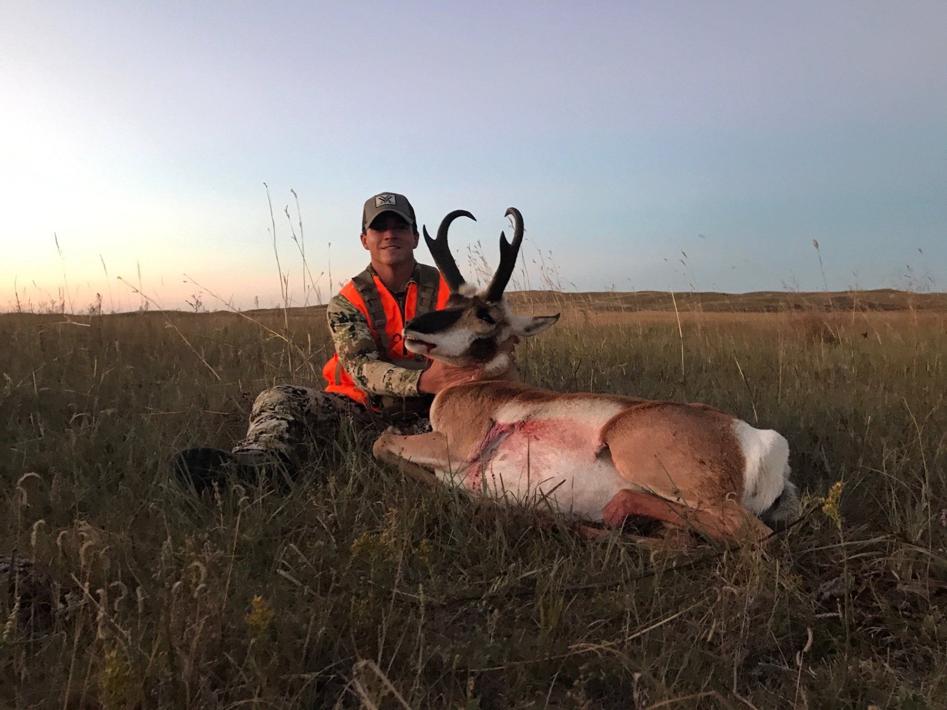 A hunter in orange vest kneels next to a harvested pronghorn antelope on a grassy plain at dusk.