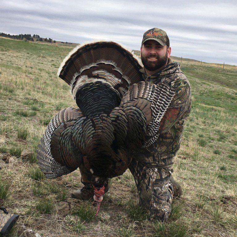 Man in camouflage kneeling, holding large wild turkey on grassy hillside.