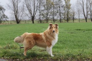 Ella