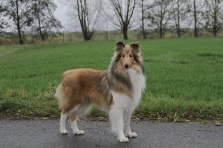 Ella