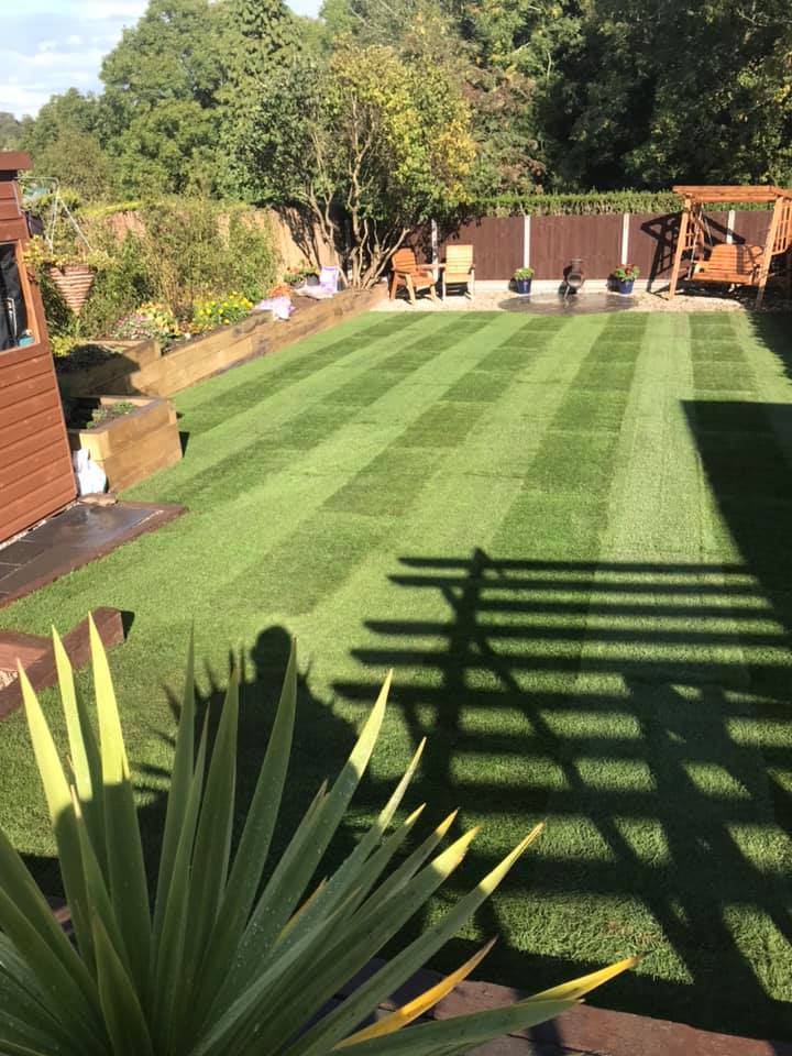 Lawns