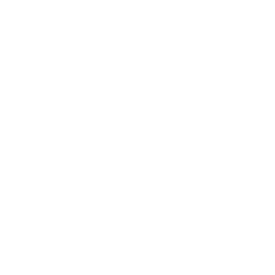 Academy Sports Store