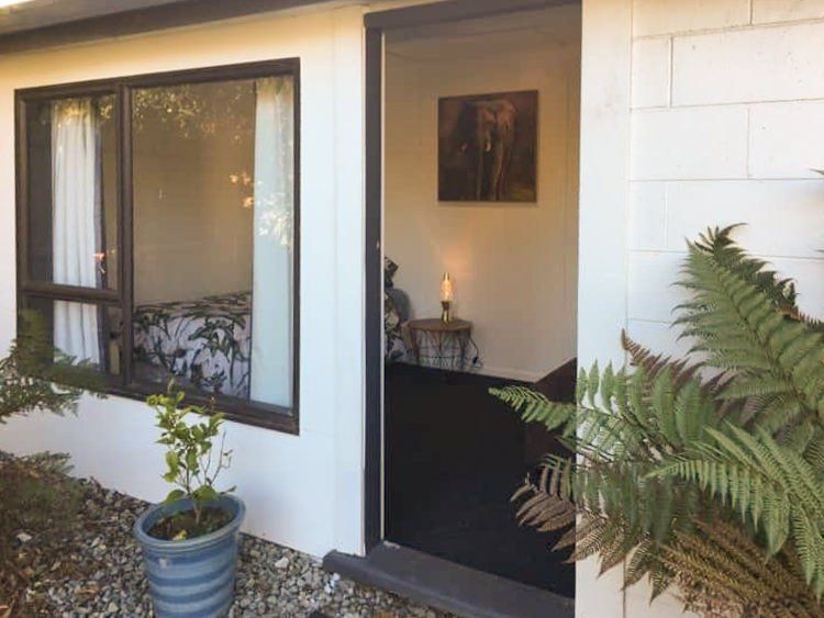 A potted plant is sitting outside of a house next to a window.