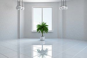 domestic cleaning
