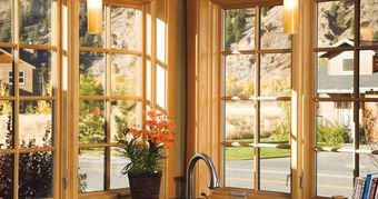 A kitchen with a sink and a potted plant in front of a window.
