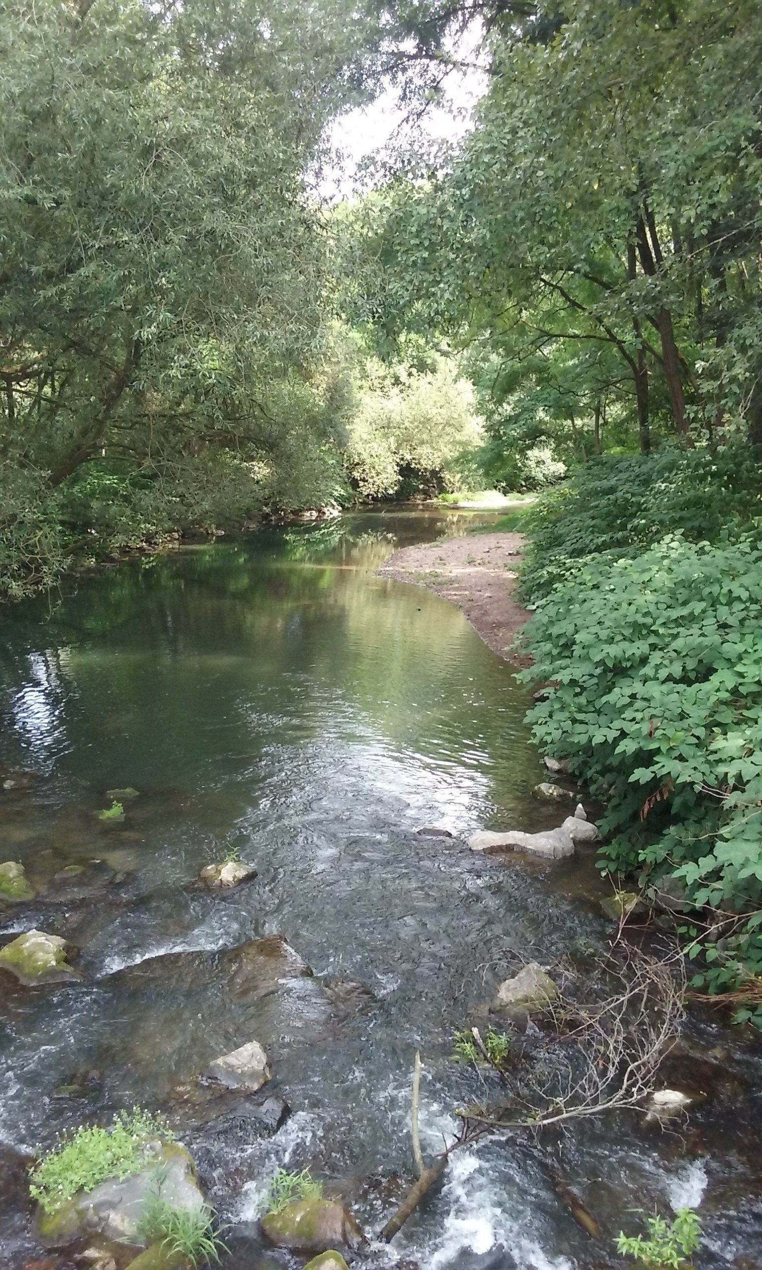 RIVIERE