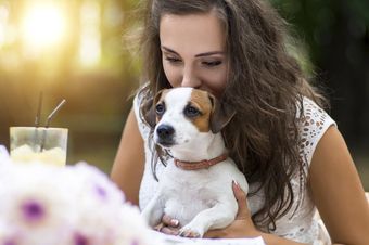 Learn More About Our Mobile Pet Grooming Services Mobile Pet Grooming Services in Beenleigh