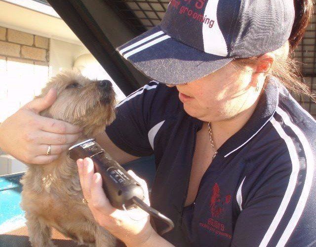 Find Out More About Our Mobile Dog Washing & Grooming Mobile Dog Washing & Grooming