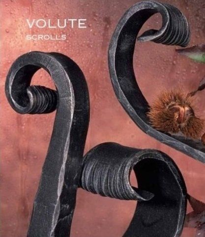 volute ferro battuto