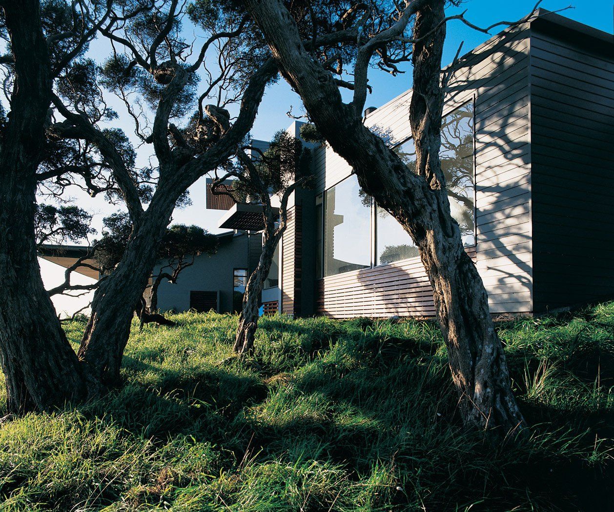 Links House
