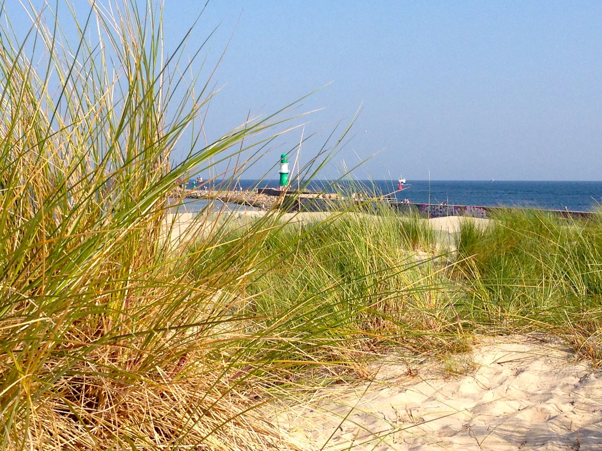 Durch das hohe Gras am Strand ist ein Leuchtturm sichtbar.