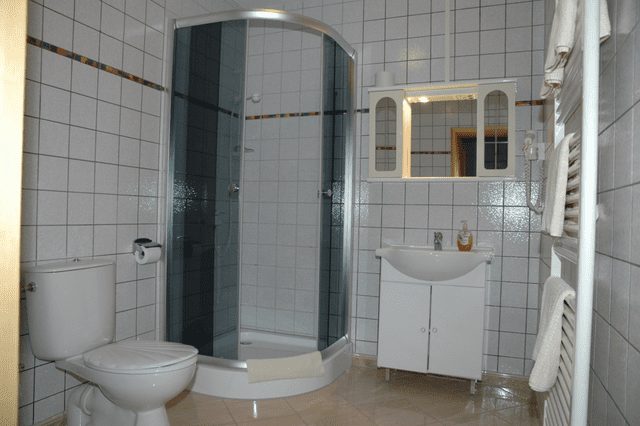 Ein Badezimmer mit Toilette, Waschbecken und Dusche.