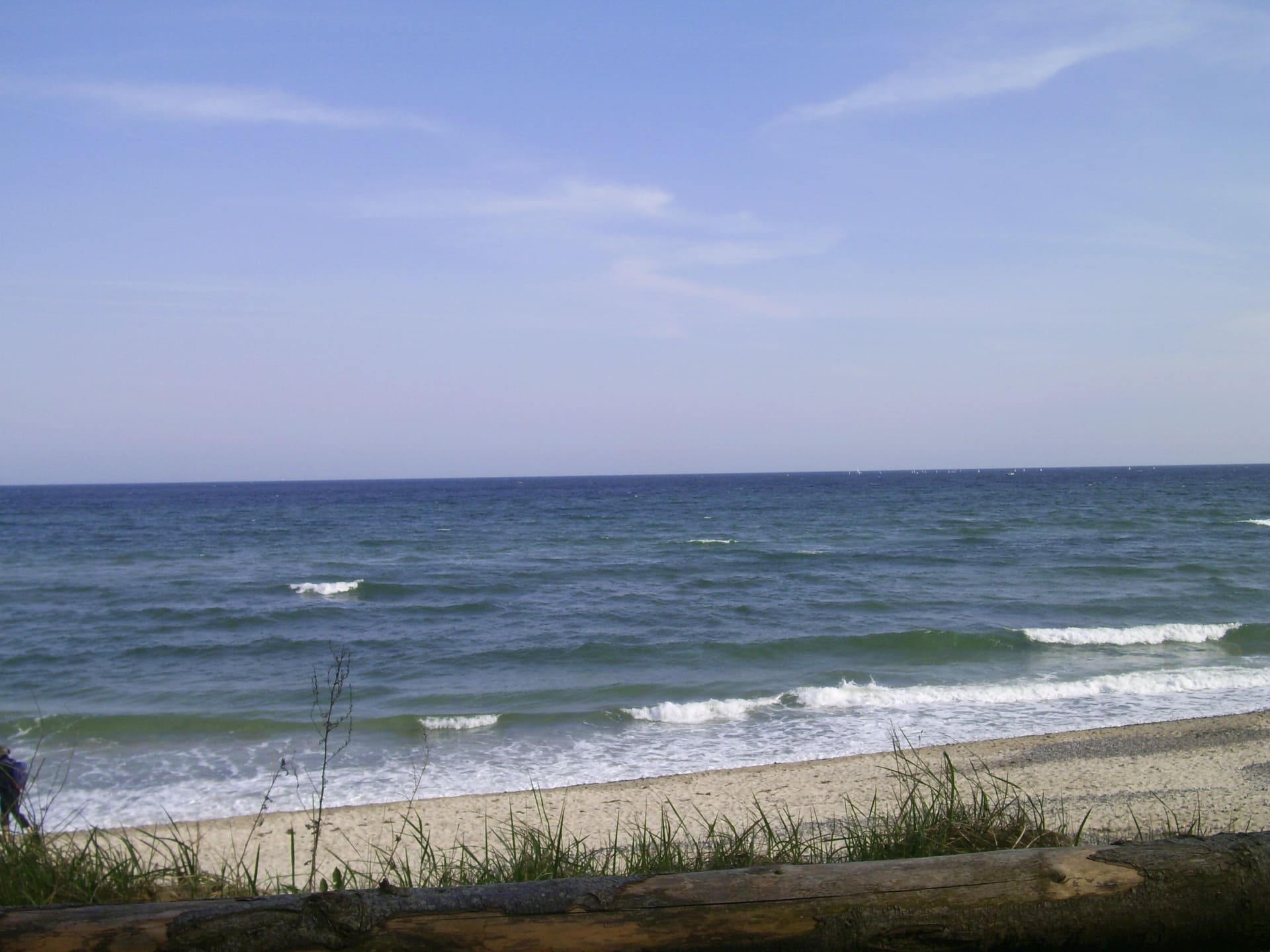Ein Strand mit einem Baumstamm im Vordergrund und einer großen Wassermasse im Hintergrund.