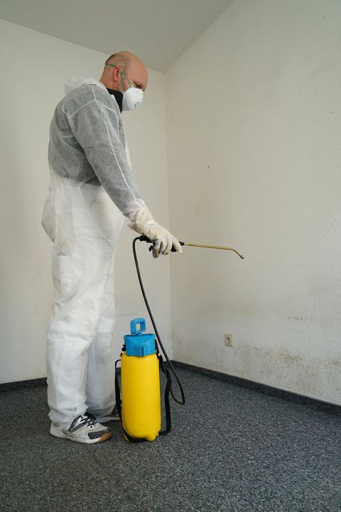 Man Removing Molds — Spring, TX — D & T Contracting Man Removing Molds — Spring, TX — D & T Contracting