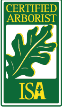 Certified Arborist through ISA
