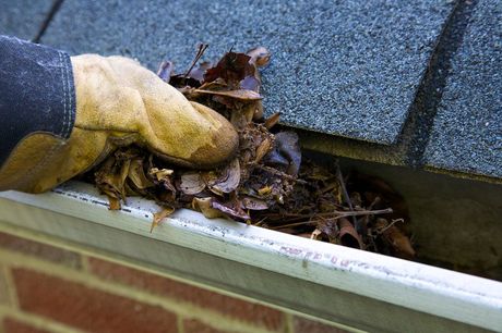 someone cleaning the gutter