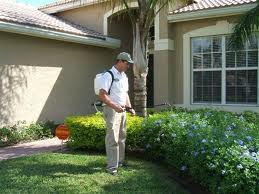 Local Exterminator Panama City, FL