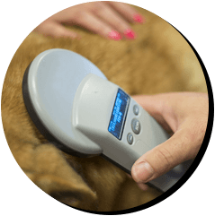 microchipping