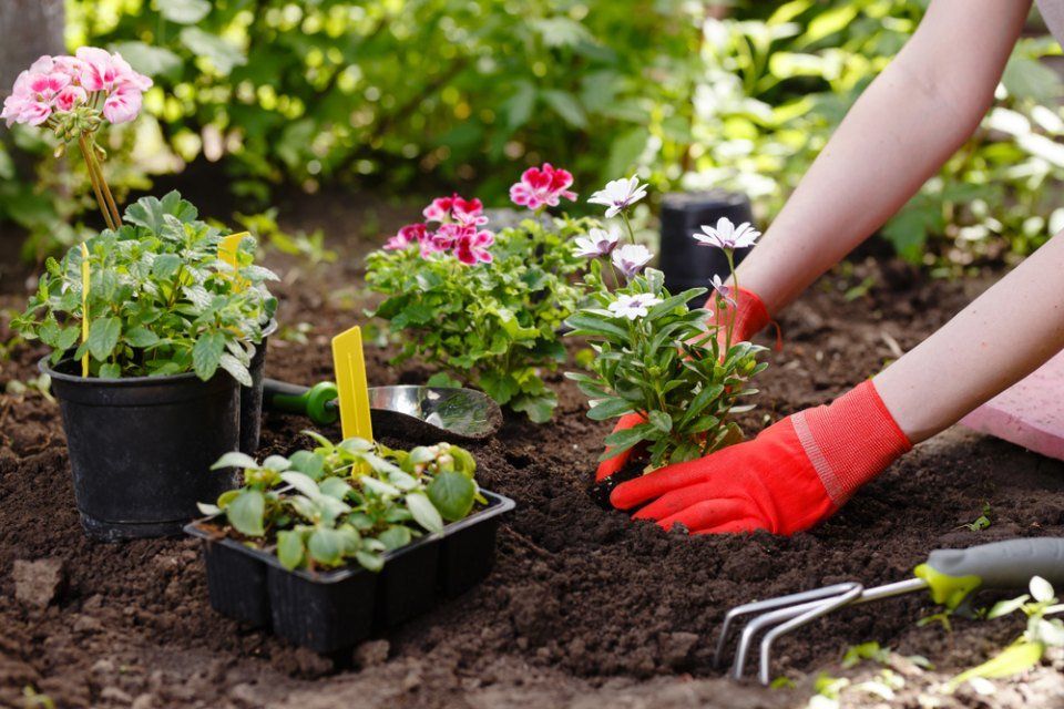 creazione di giardini e terrazze
