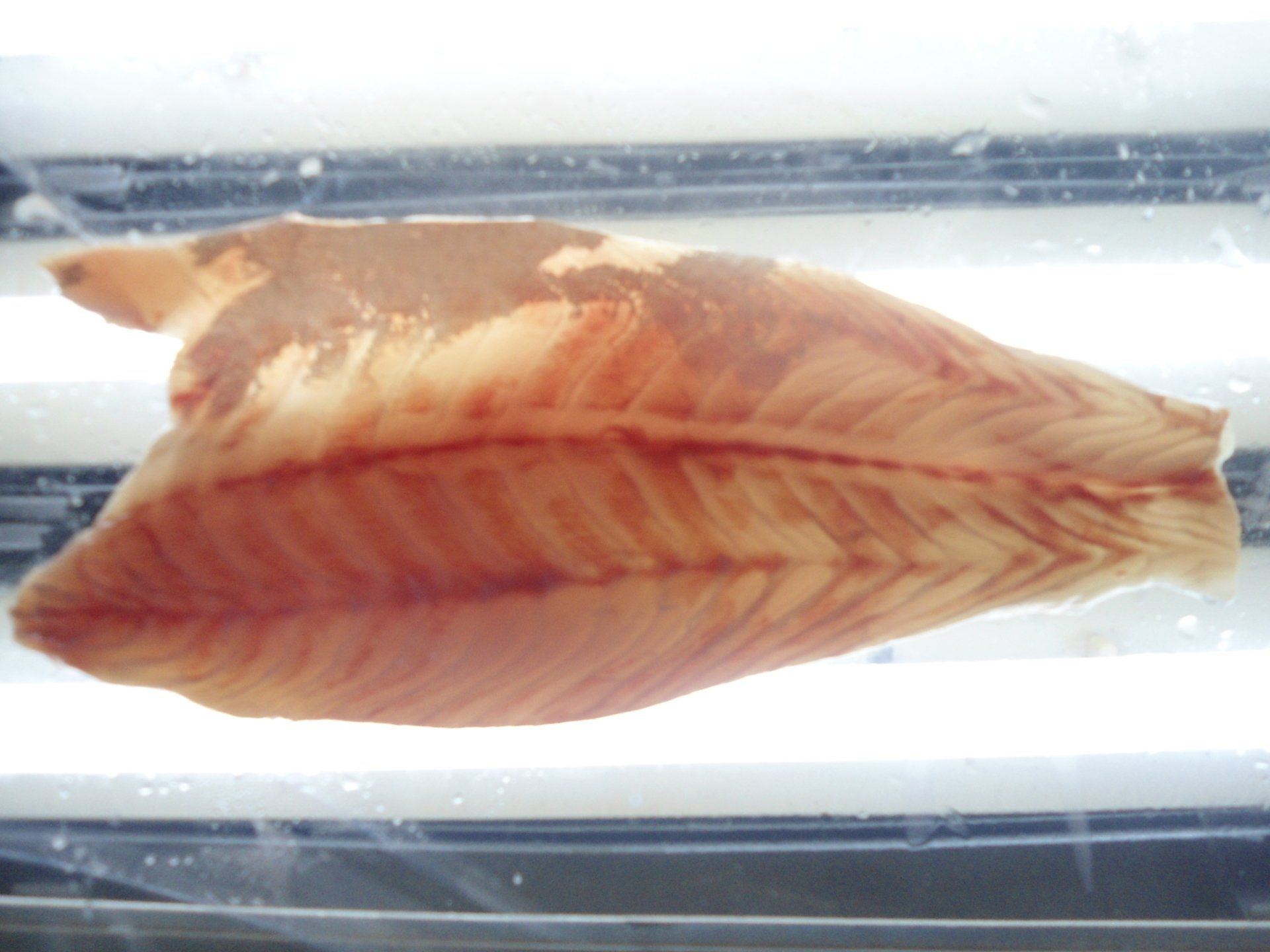 A raw fish fillet with a distinct, dark red lateral line, resting on a white surface.