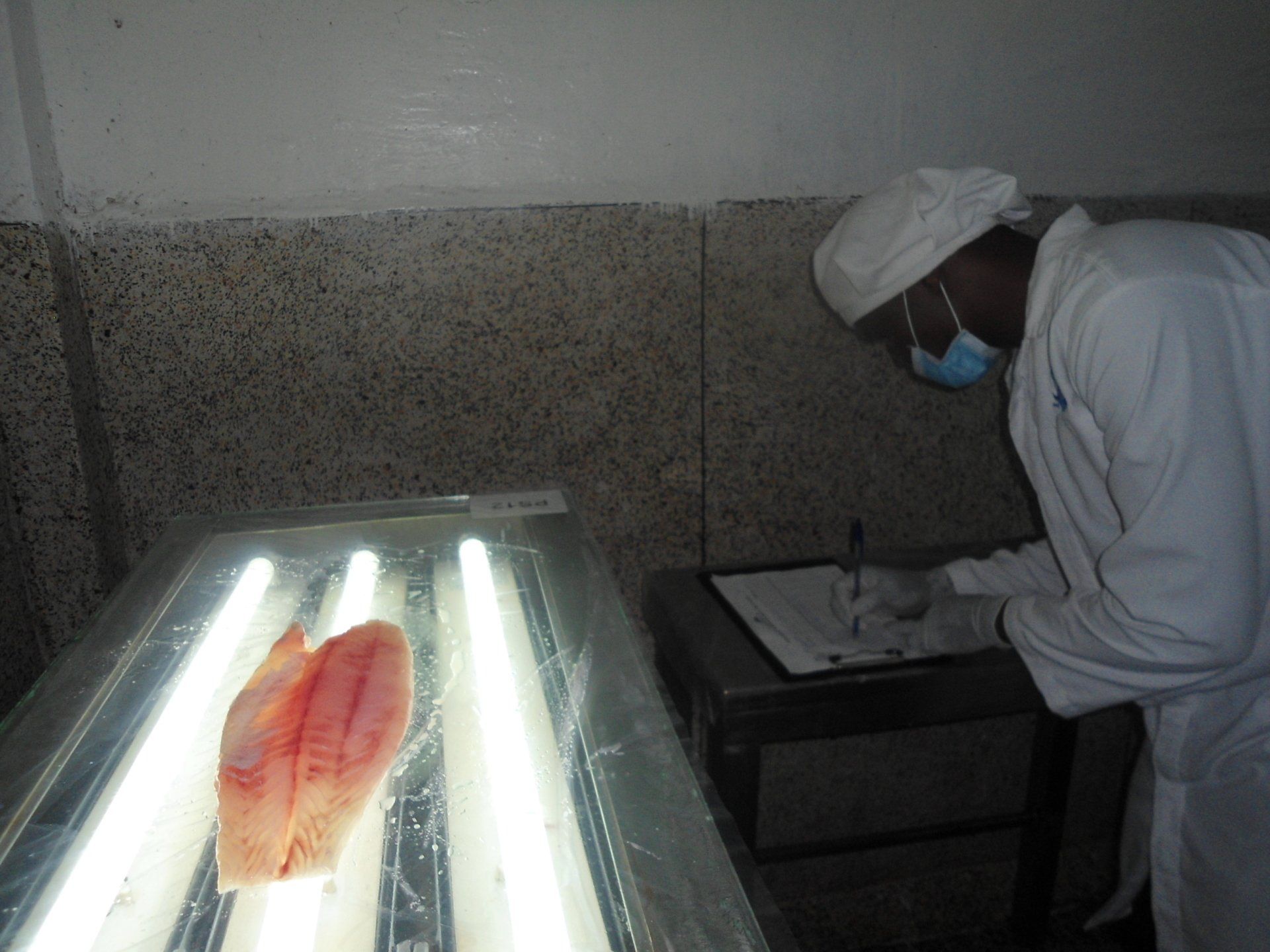 A person in professional food-safety attire inspects a fish fillet over a lighted table, recording notes on a clipboard.