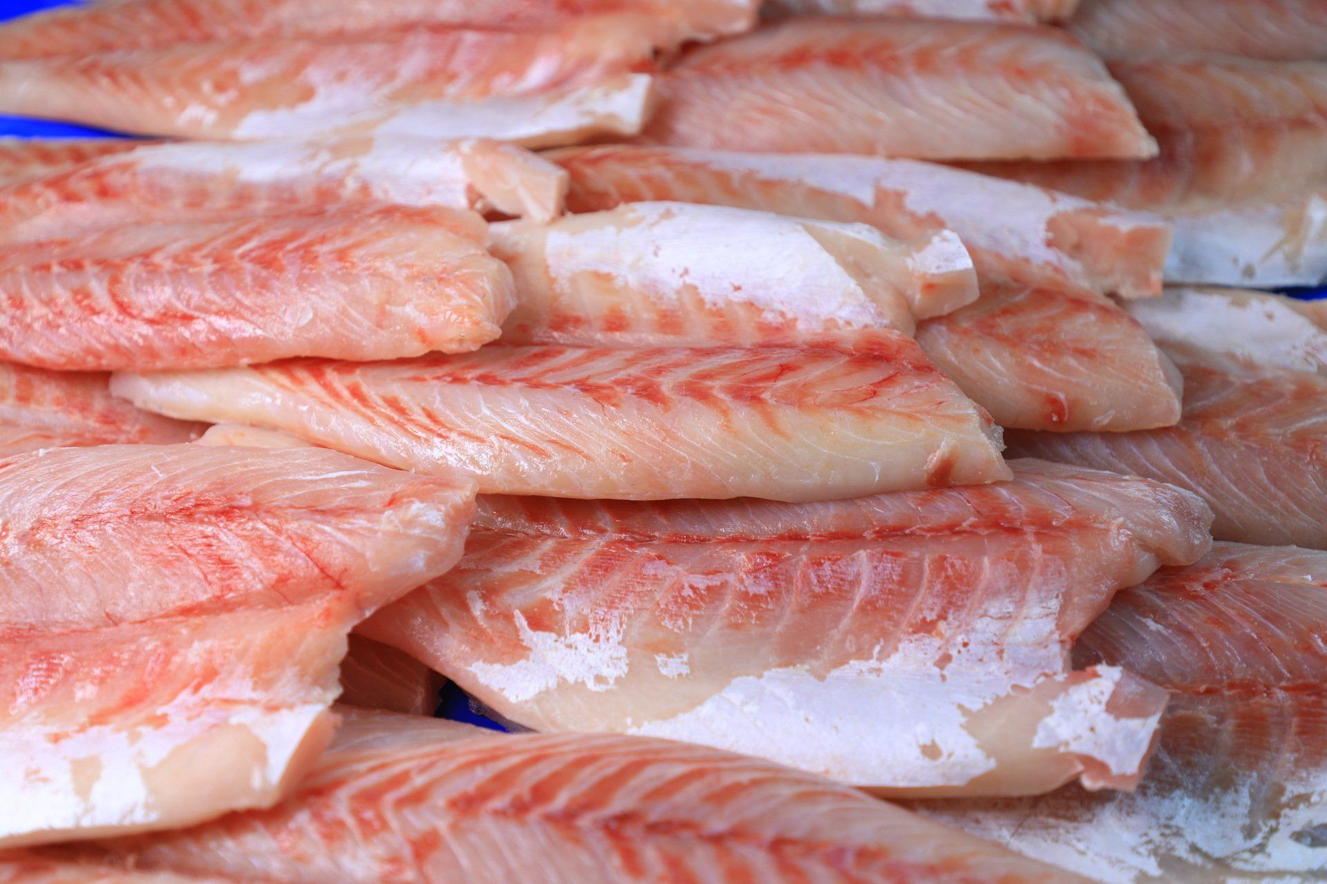 A pile of raw, pinkish-white fish fillets stacked on a blue surface.