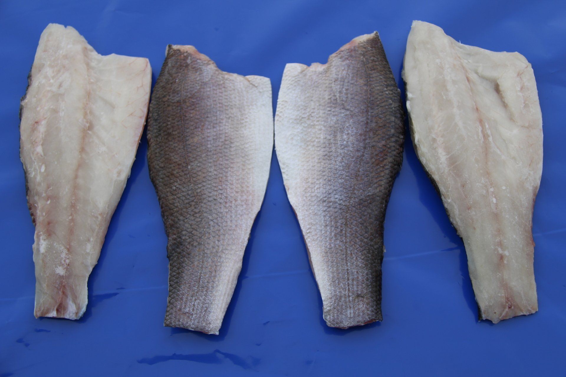 Fresh or frozen Skin-on fillets