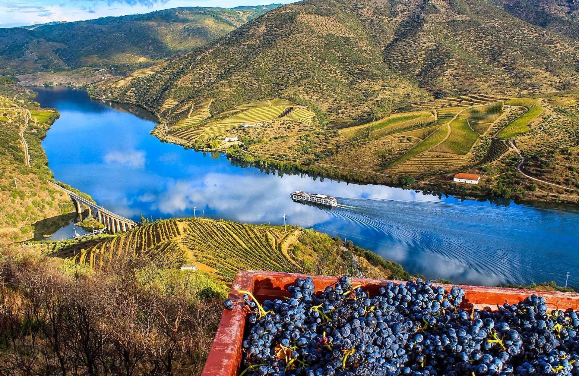Douro Valley Tours, wine tours, Taxi douro valley, Taxi Porto Regua