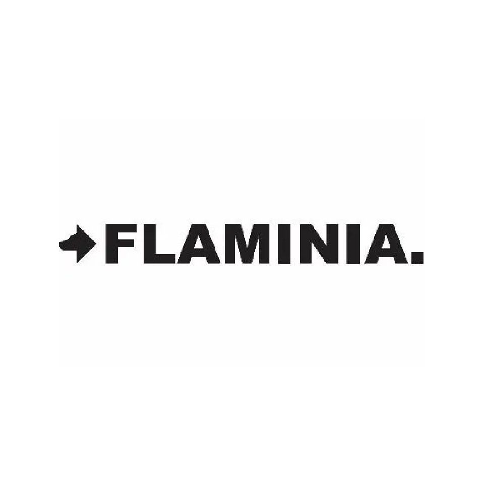 Flaminia logo