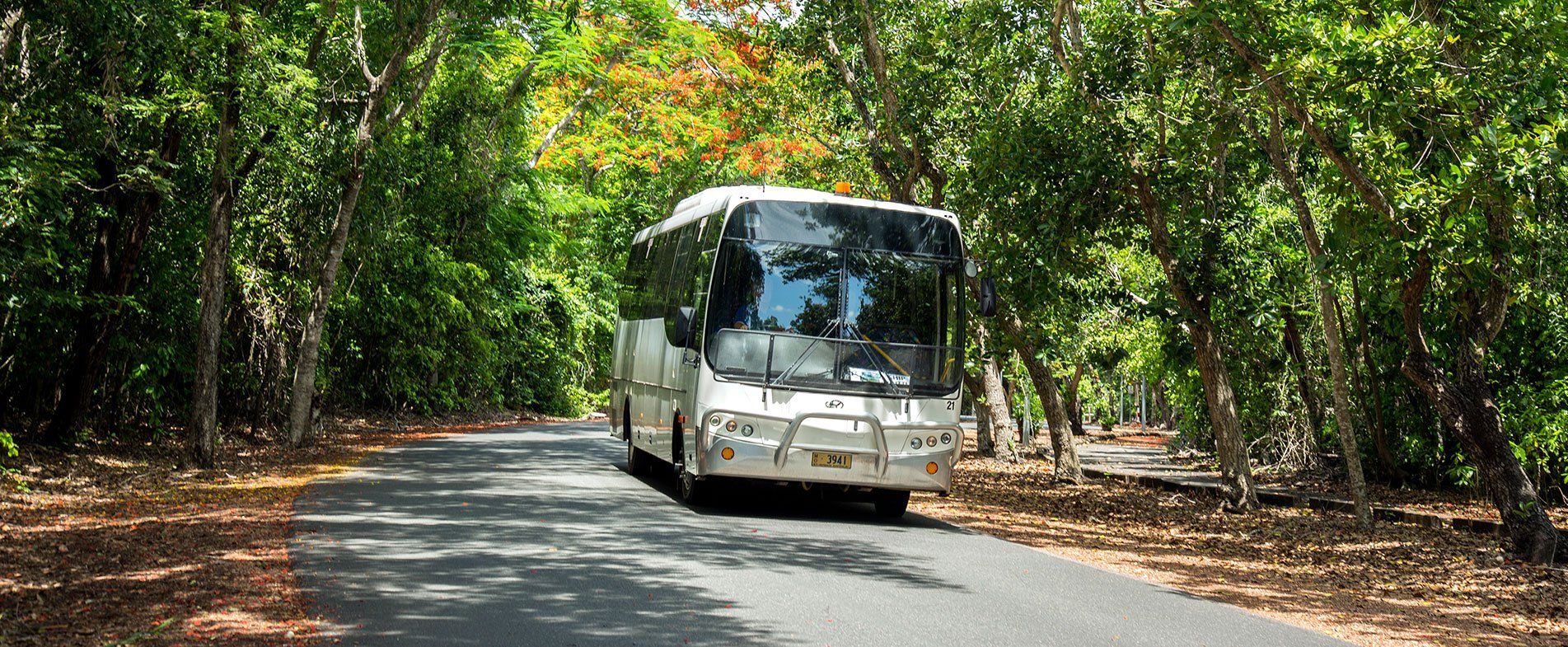 Coach Charters Australia bus