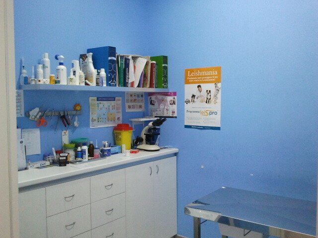 ambulatorio della clinica per animali